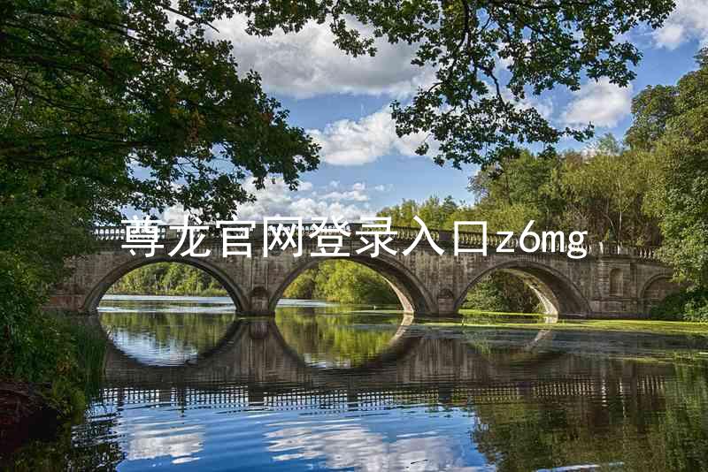 尊龙官网登录入口z6mg